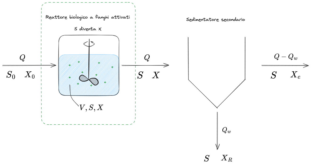 10. Processi Biologici 2024-01-24 09.30.01.excalidraw.png