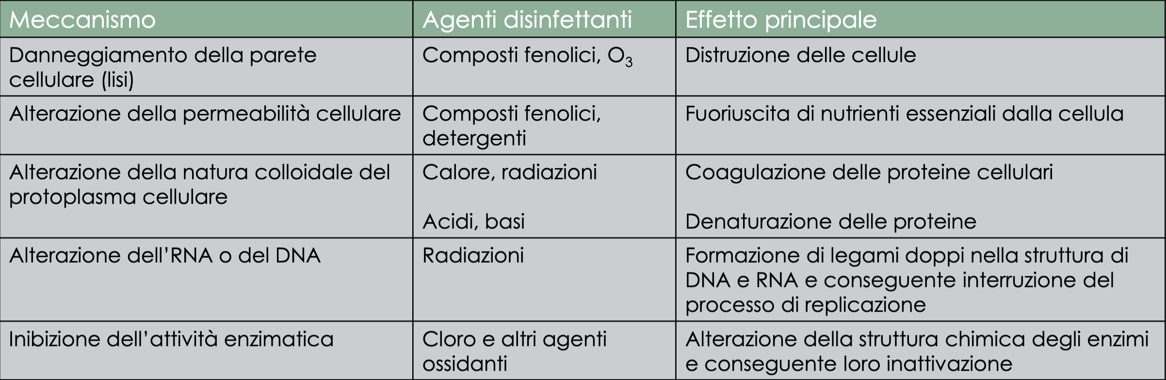 Schermata 2024-01-26 alle 19.02.20.png