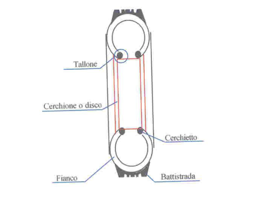 Schermata 2023-10-11 alle 15.36.37.png|Schema di uno pneumatico