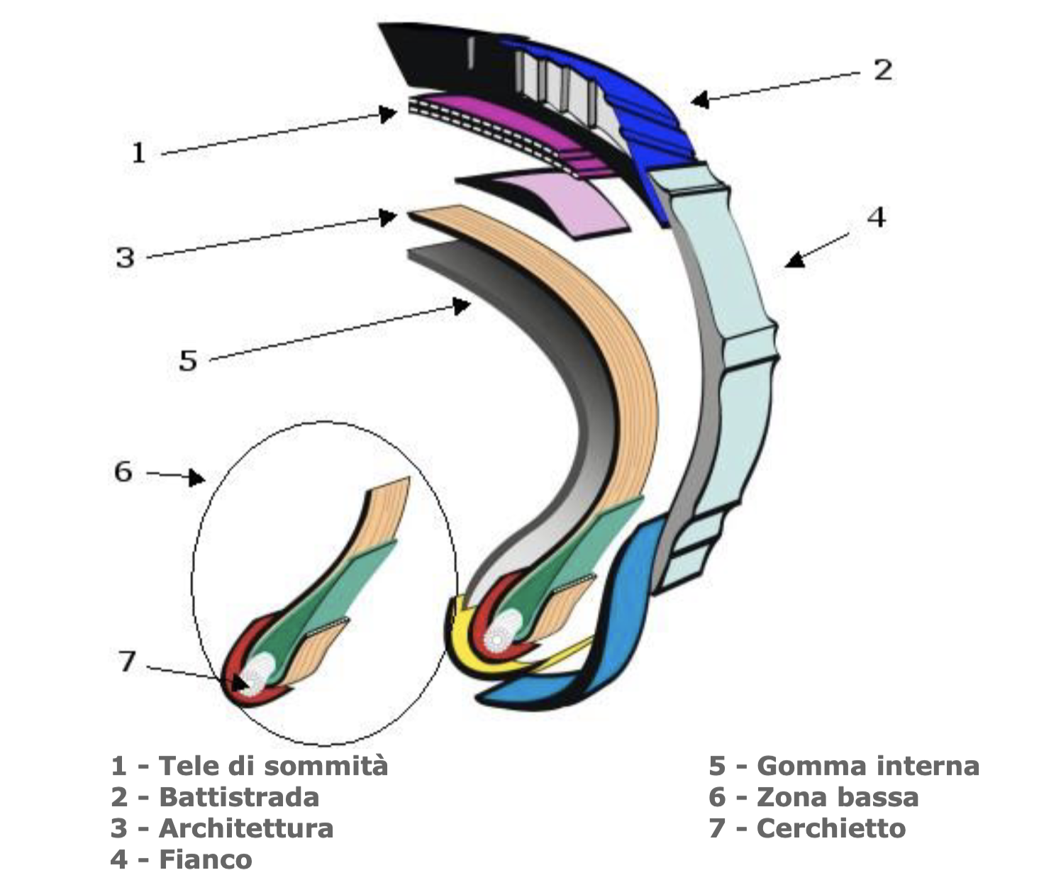 Schermata 2023-10-11 alle 15.46.36.png|Architettura dello pneumatico radiale